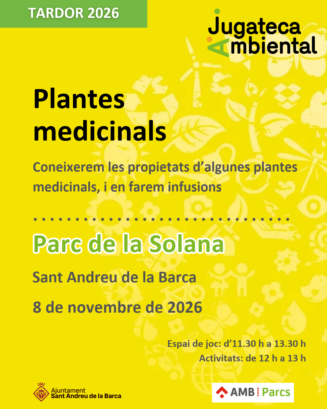 Plantes medicinals